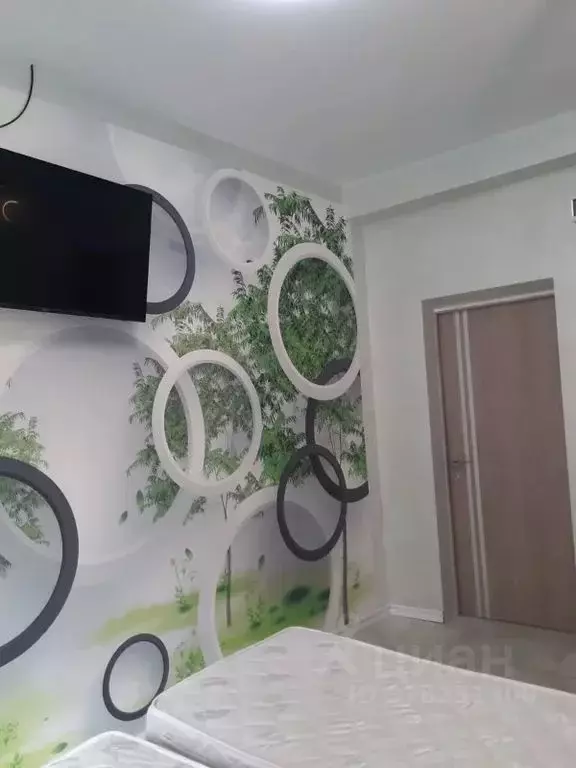 Комната Краснодарский край, Сочи Лазаревское жилрайон, ул. Тормахова, ... - Фото 2