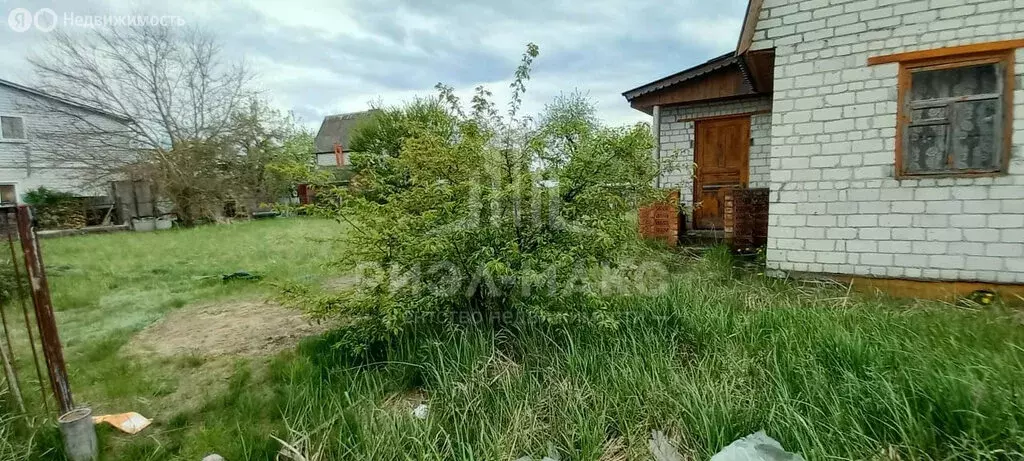 Дом в посёлок Новые Дарковичи, СДТ Болва, 337 (30 м) - Фото 1