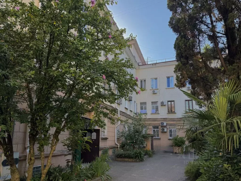 Помещение свободного назначения в Краснодарский край, Сочи ул. ... - Фото 1