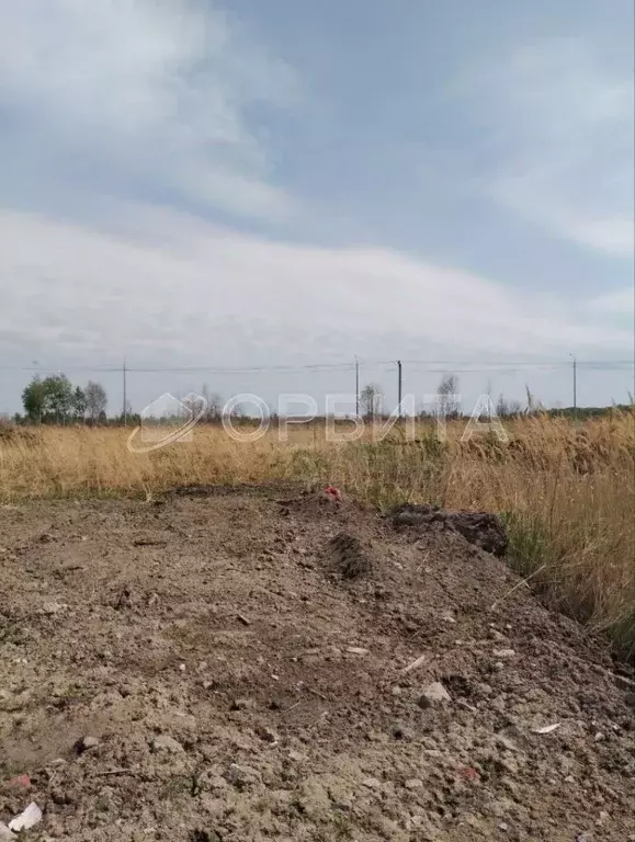 Участок в Тюменская область, Тюмень Матрешка СНТ,  (15.0 сот.) - Фото 2