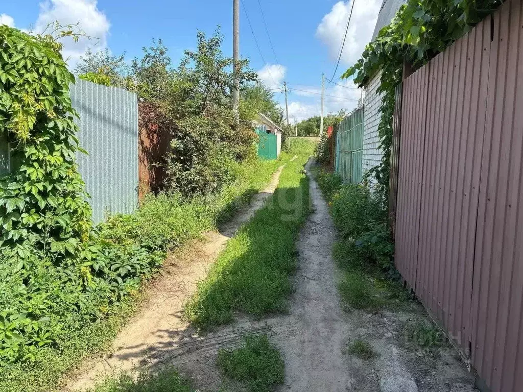 Дом в Воронежская область, Воронеж Придонье СНТ, 262 (12 м) - Фото 1