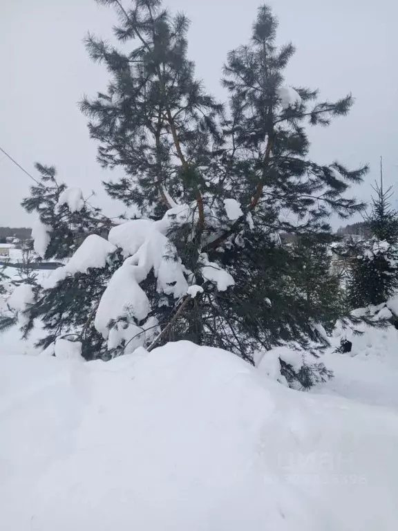 Участок в Московская область, Чехов муниципальный округ, д. Городище  ... - Фото 0