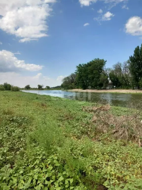 Участок в Астраханская область, Камызяк пл. Павших Борцов (8.0 сот.) - Фото 1