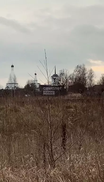 Участок в Калужская область, Калуга городской округ, с. Спас  (10.0 ... - Фото 1