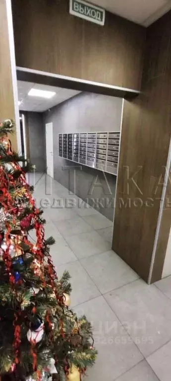 3-к кв. Санкт-Петербург аллея Поликарпова, 2 (101.9 м) - Фото 2