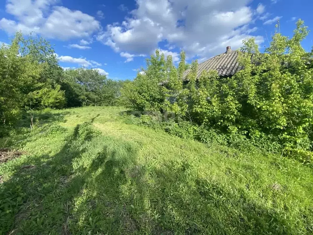 Участок в Белгородская область, Старооскольский городской округ, с. ... - Фото 1