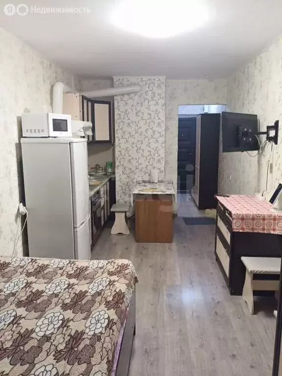 Квартира-студия: Томск, Большая Подгорная улица, 87 (27 м) - Фото 2
