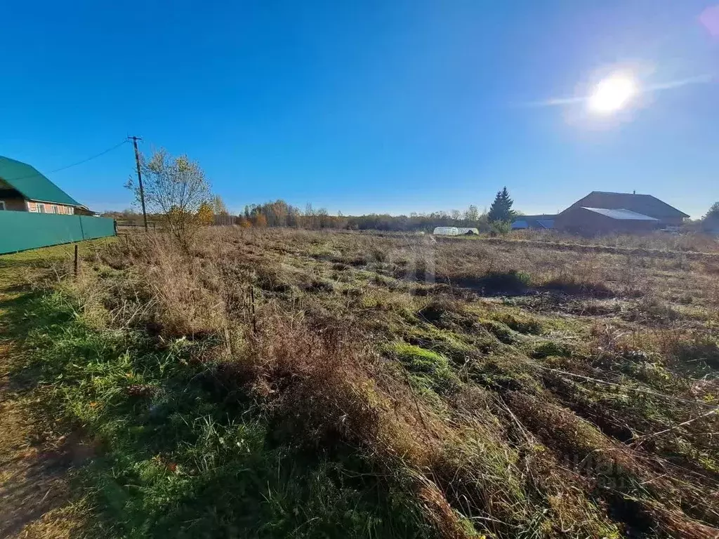 Участок в Вологодская область, Шекснинский район, Сиземское с/пос, д. ... - Фото 1