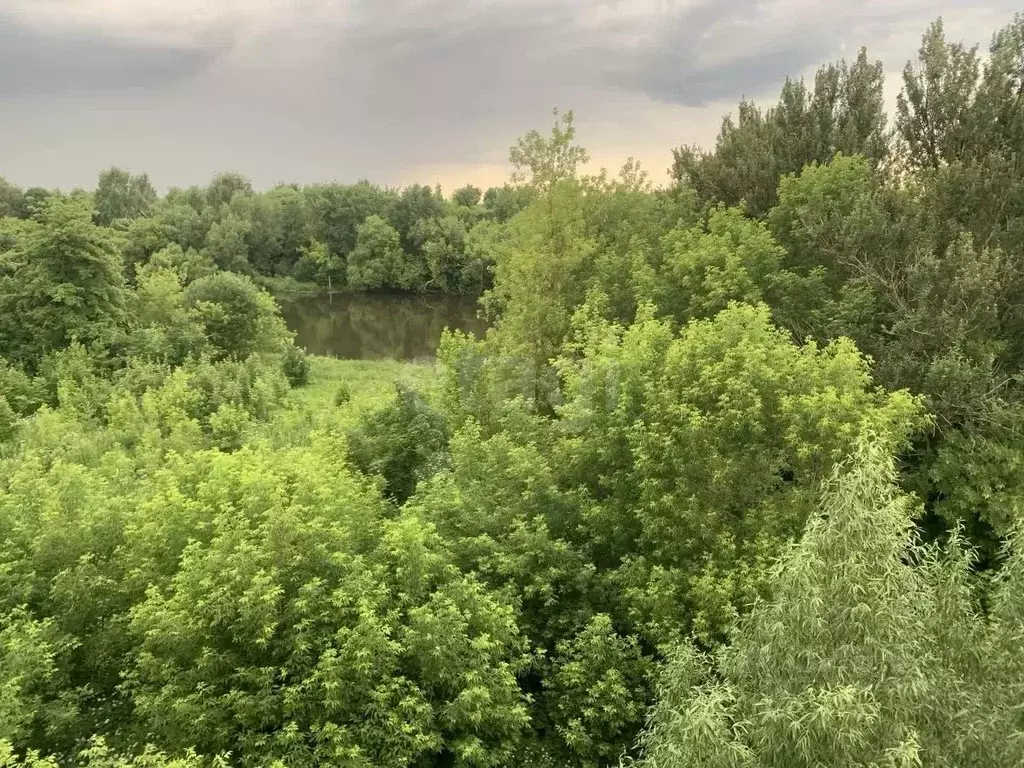 1-к кв. Московская область, Ногинск Богородский городской округ, ул. ... - Фото 2