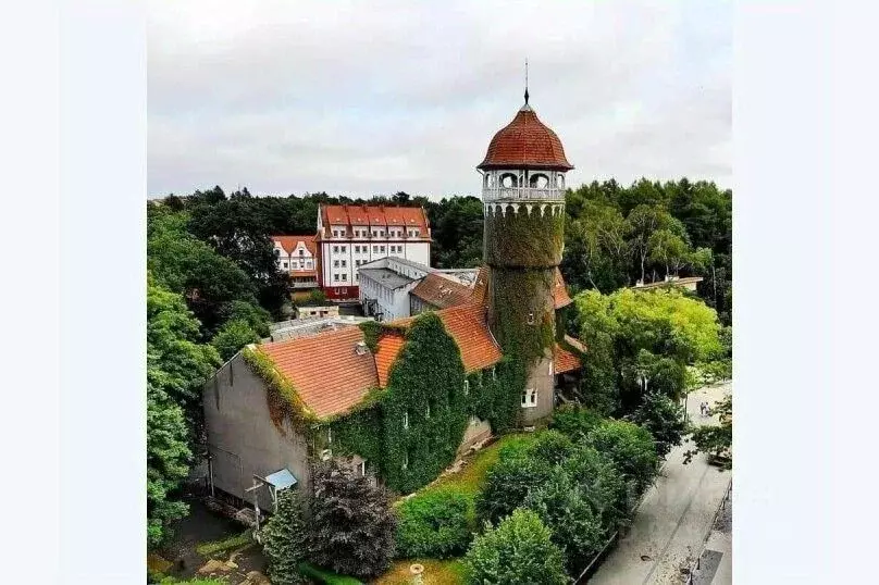 1-к кв. Калининградская область, Светлогорск Центральная пл., 1 (28.0 ... - Фото 1