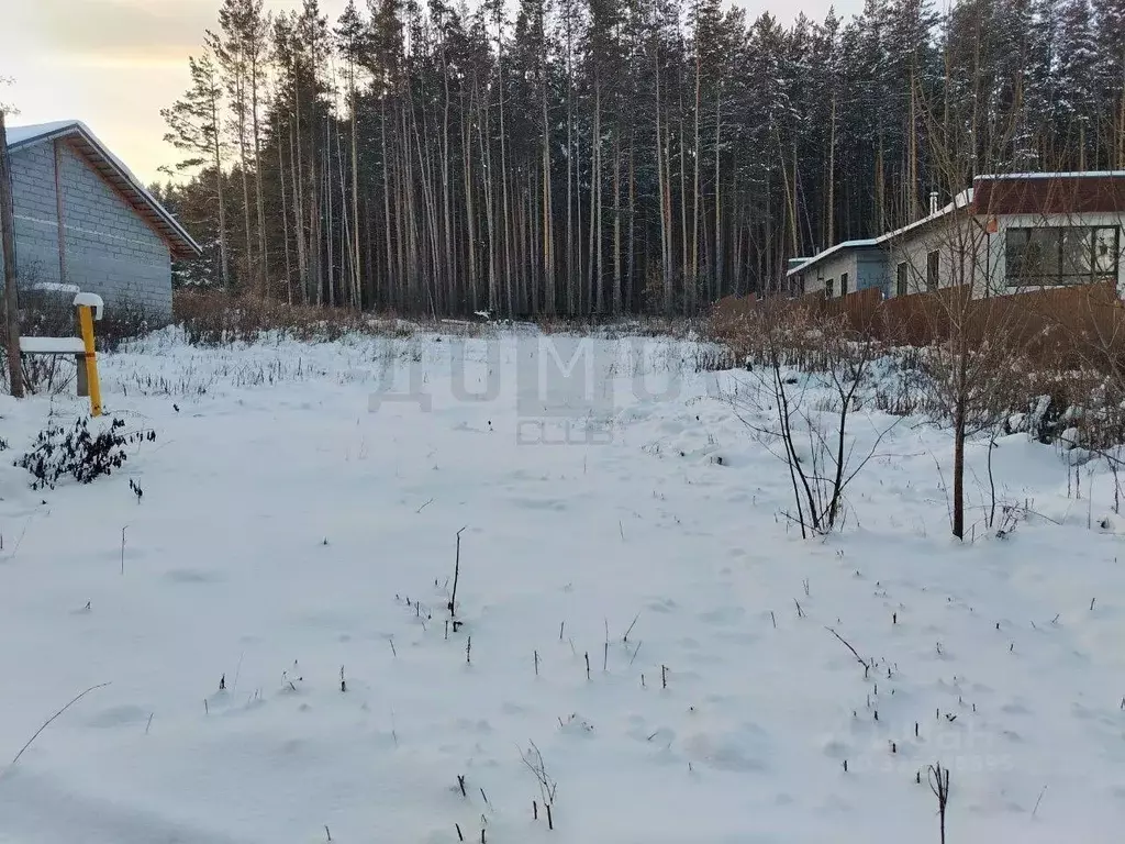 Участок в Свердловская область, Сысертский муниципальный округ, с. ... - Фото 2