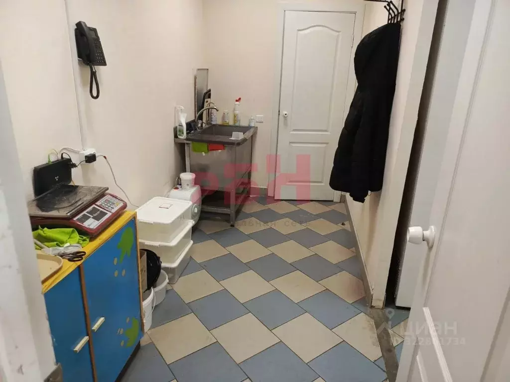 Торговая площадь в Курганская область, Мишкино рп ул. ... - Фото 2