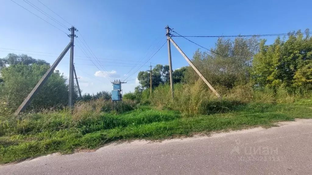 Участок в Брянская область, Карачевское городское поселение, пос. ... - Фото 1