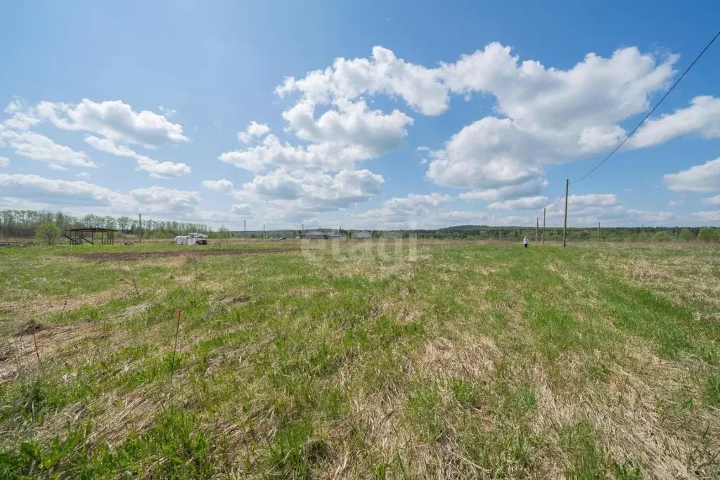 Участок в Пермский край, Пермский муниципальный округ, д. Большакино, ... - Фото 1