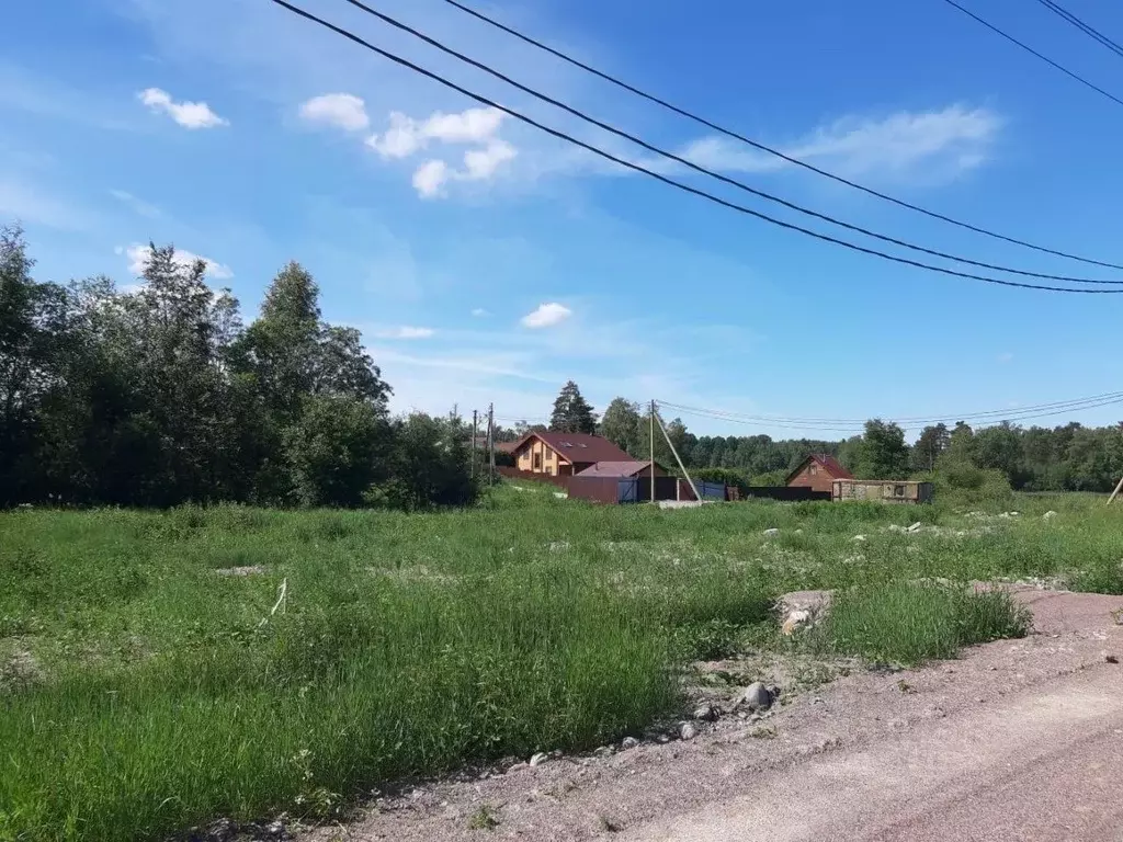 Участок в Ленинградская область, Приозерский район, Мельниковское ... - Фото 0