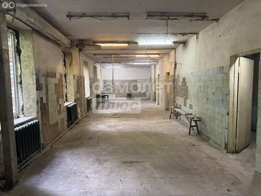 Помещение свободного назначения (370 м) - Фото 1