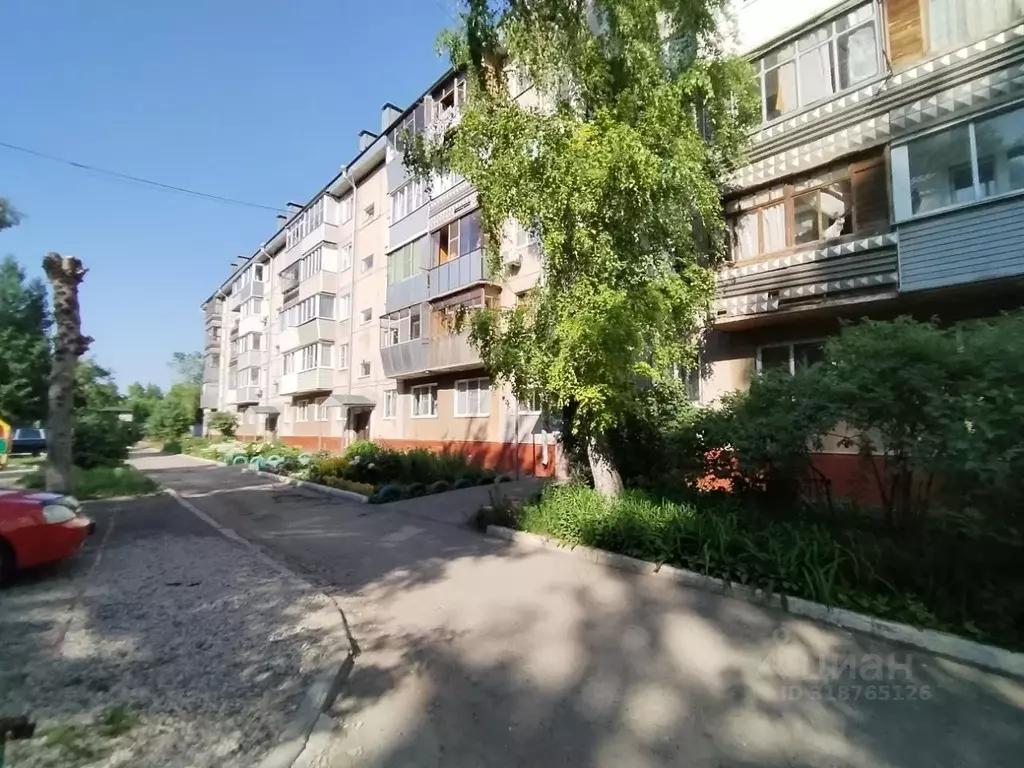 1-к кв. Алтайский край, Барнаул ул. Антона Петрова, 154 (30.3 м) - Фото 0