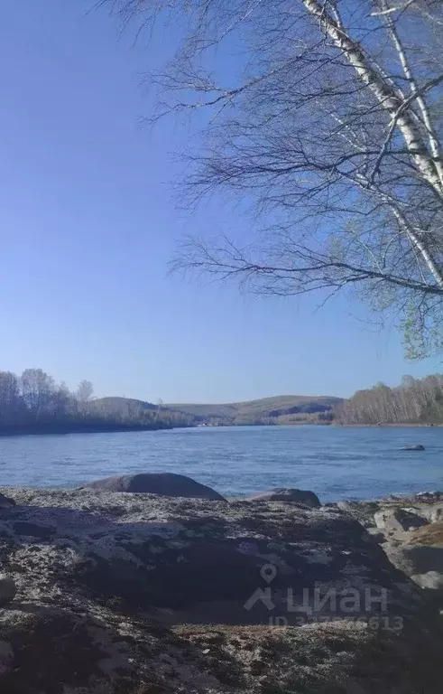 Участок в Алтай, Майминский район, Чуйское СТ  (8.4 сот.) - Фото 1