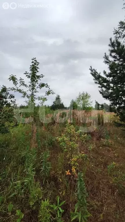 Участок в Заводоуковск, СОТ Колос, 201 (15 м) - Фото 1