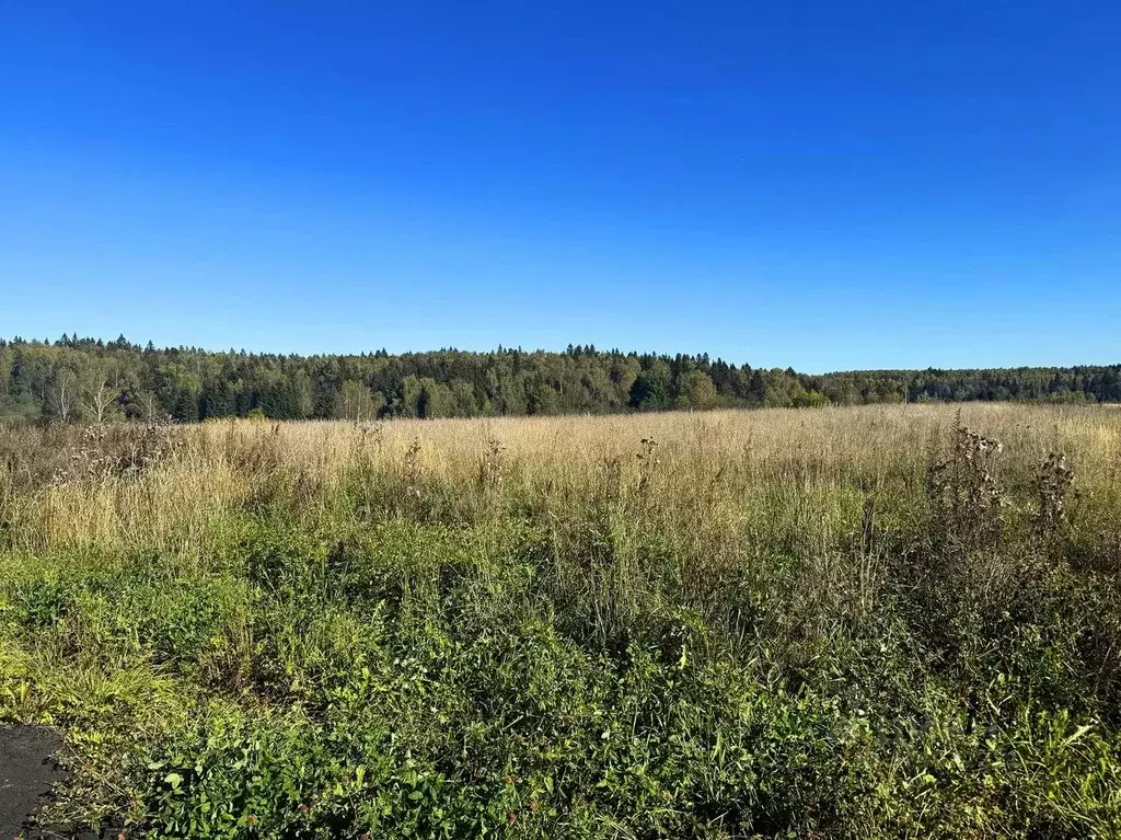 Участок в Московская область, Дмитровский муниципальный округ, ... - Фото 1