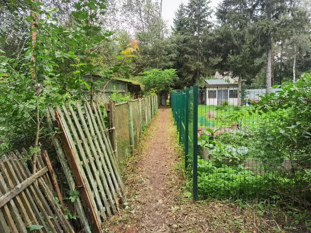 Участок в Московская область, Пушкинский городской округ, Софрино пгт ... - Фото 2