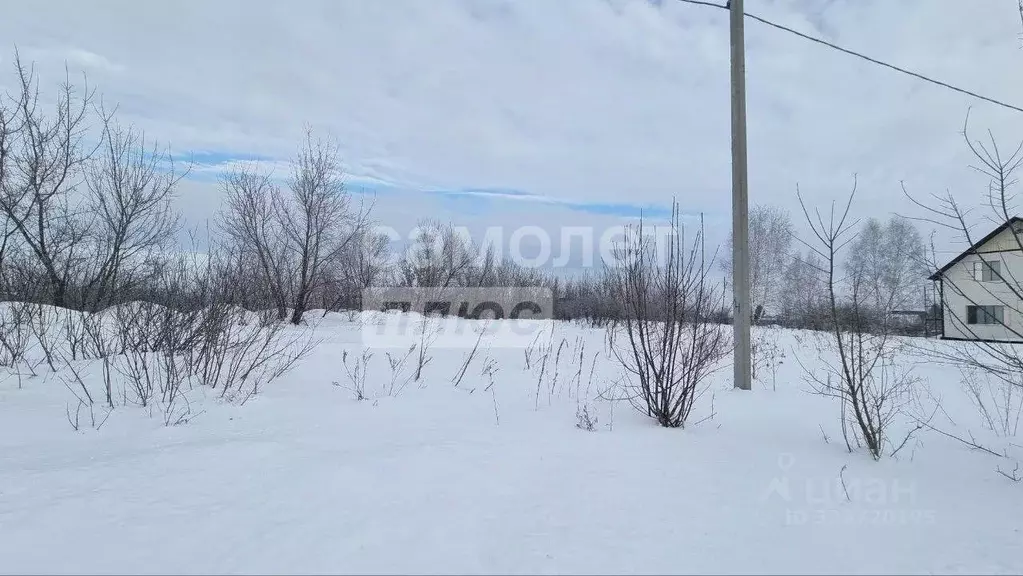 Участок в Алтайский край, Смоленский район, пос. Верх-Обский ул. ... - Фото 2