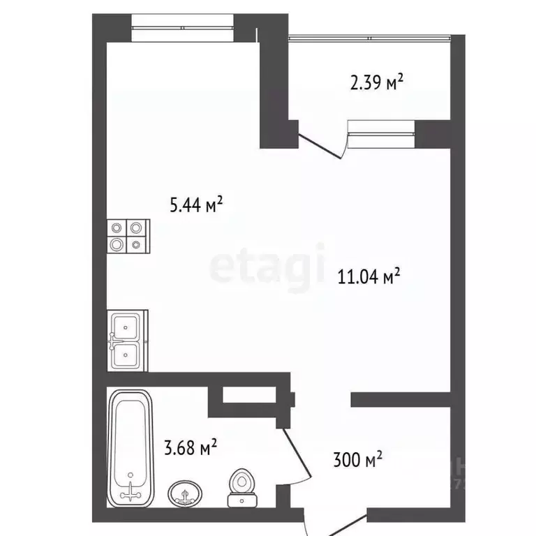 Студия Архангельская область, Архангельск Советская ул., 4 (23.2 м) - Фото 2