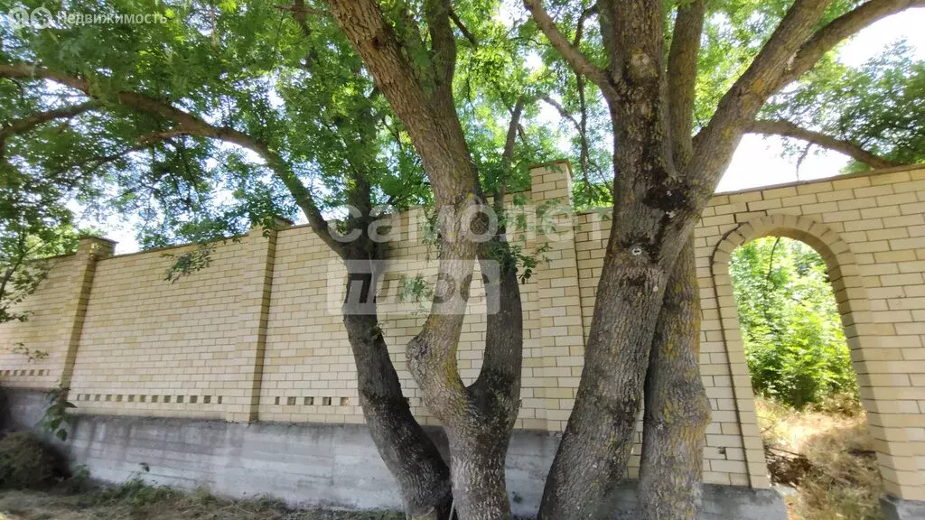 Участок в село Супсех, улица Камаева, 3 (20 м) - Фото 1