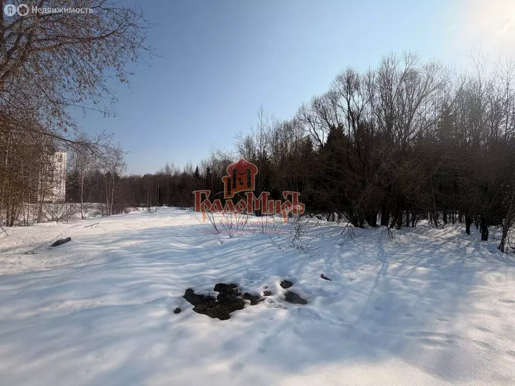 Участок в Пересвет, улица Строителей (5 м) - Фото 2