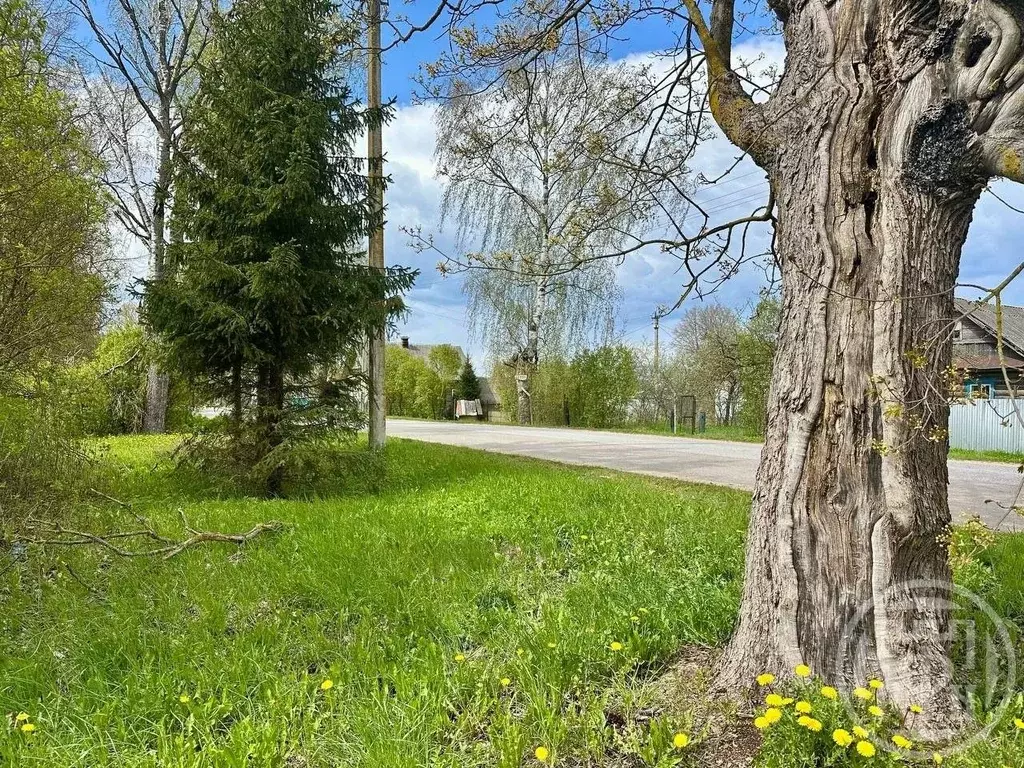 Участок в Новгородская область, Батецкий муниципальный округ, д. ... - Фото 0