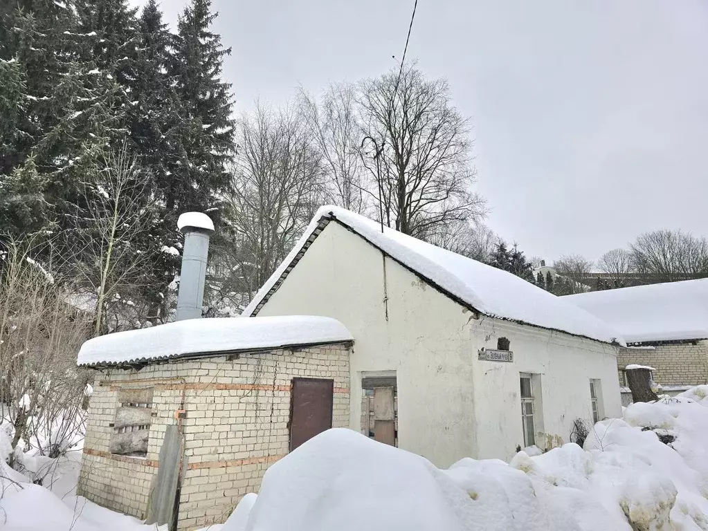 Дом в Смоленская область, Смоленск ул. Зеленый Ручей, 9 (44 м) - Фото 1