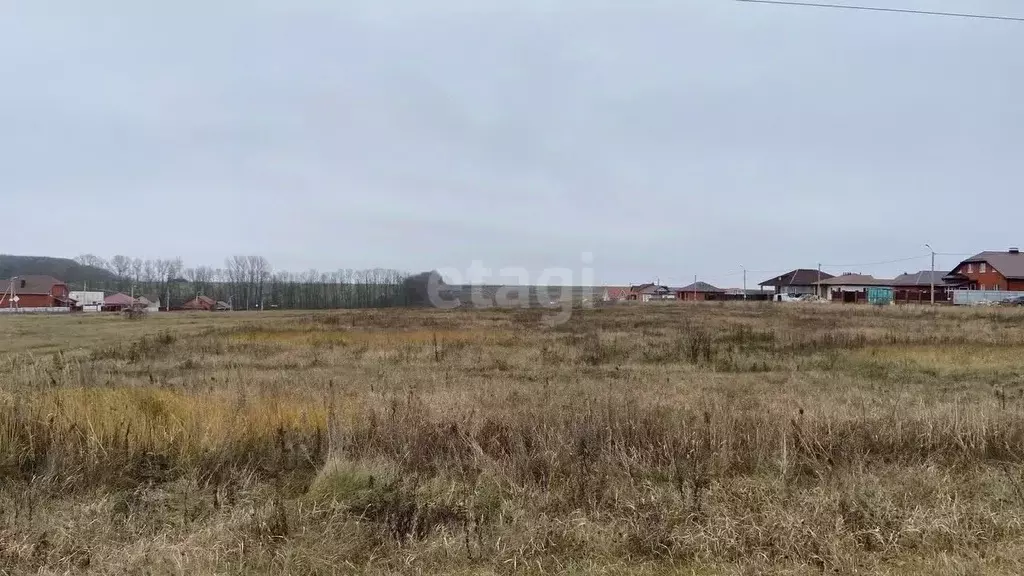 Участок в Белгородская область, Белгородский район, с. Стрелецкое пер. ... - Фото 1