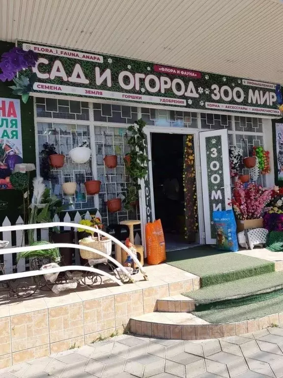 Торговая площадь в Краснодарский край, Анапа Промышленная ул., 10 (303 ... - Фото 0