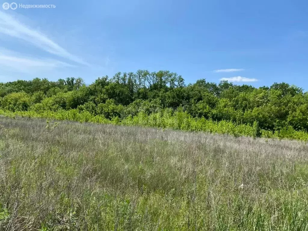 Участок в рабочий посёлок Разумное, улица Бажова (17.6 м) - Фото 0