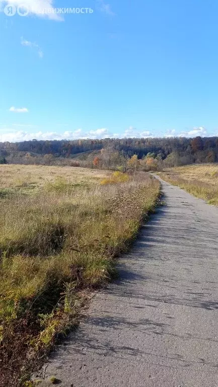 Дом в Ивановское сельское поселение, деревня Лучки (54 м) - Фото 2