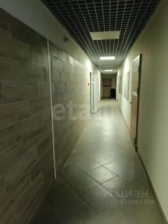 1-к кв. Тюменская область, Тюмень ул. Стройотрядовская, 8 (30.6 м) - Фото 2