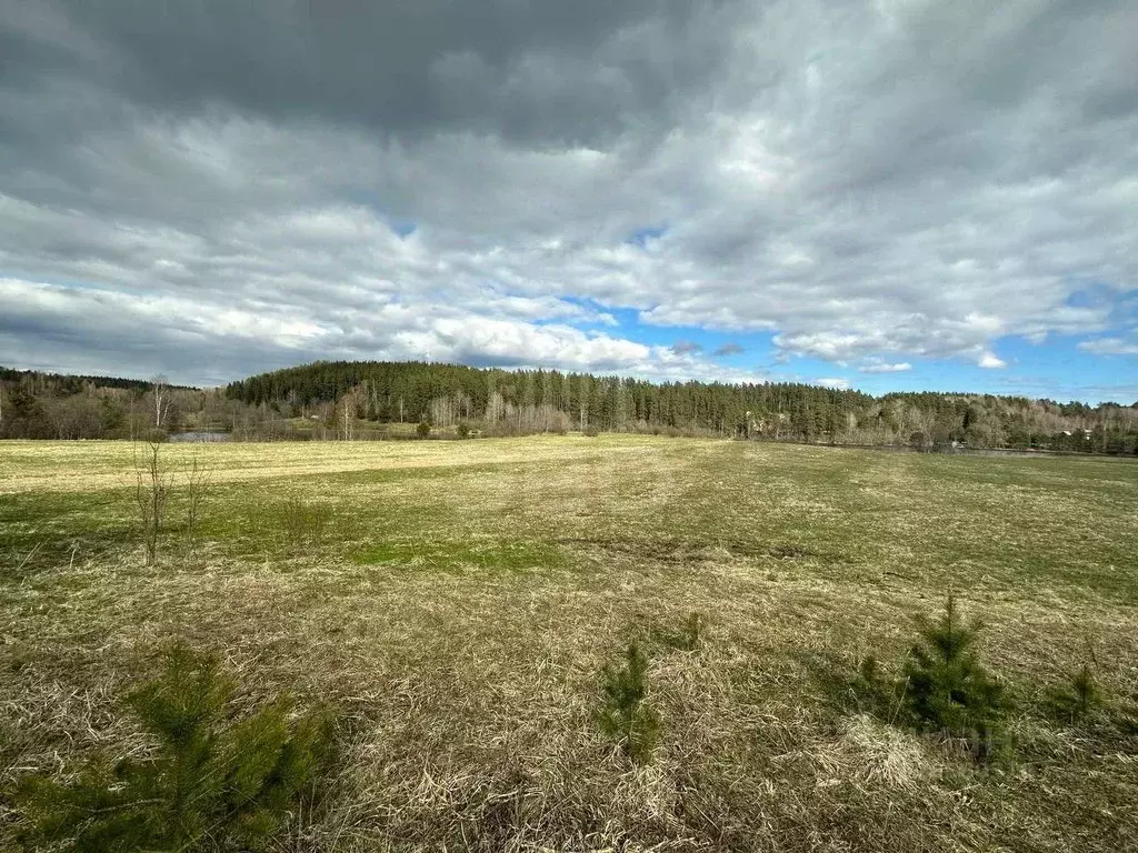 Участок в Ленинградская область, Выборгский район, Каменногорское ... - Фото 1