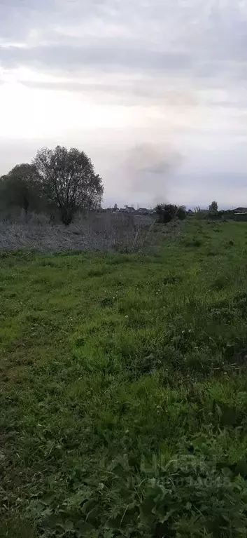 Участок в Ульяновская область, Старомайнский муниципальный округ, с. ... - Фото 1