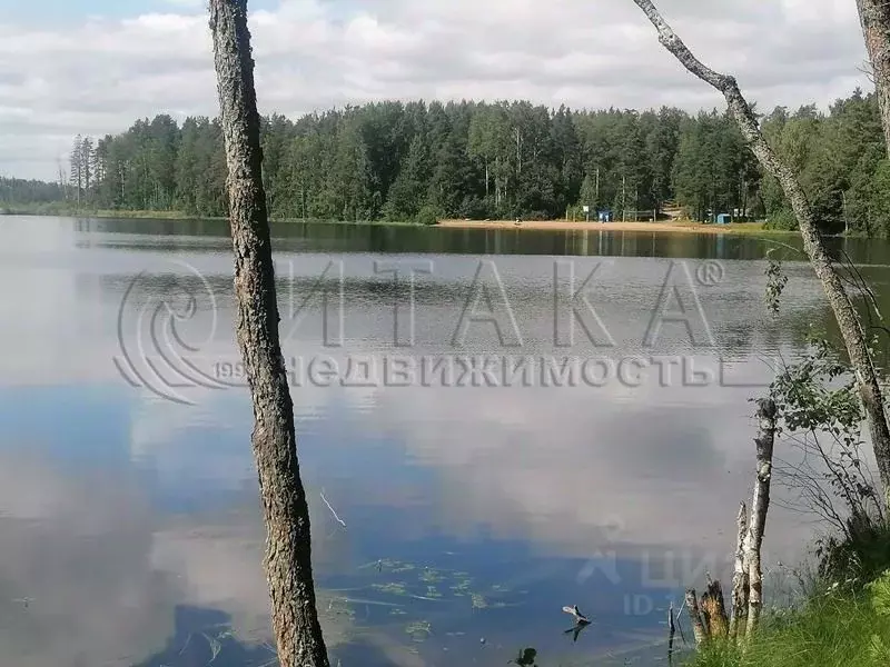 Участок в Ленинградская область, Приозерский район, Кузнечнинское ... - Фото 1