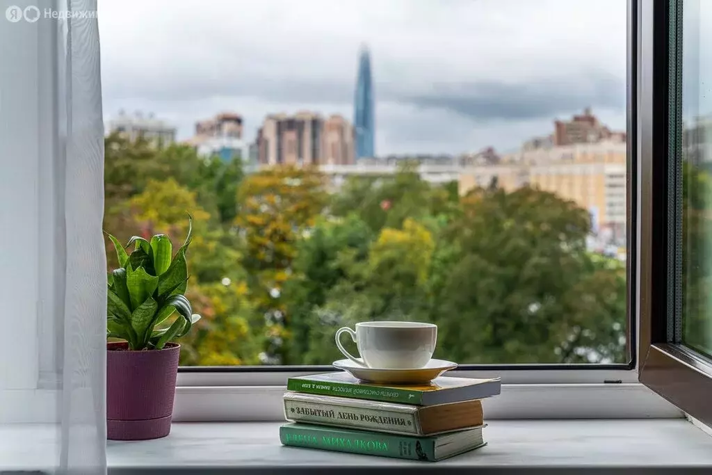 Квартира-студия: Санкт-Петербург, улица Савушкина, 104 (26.4 м) - Фото 2