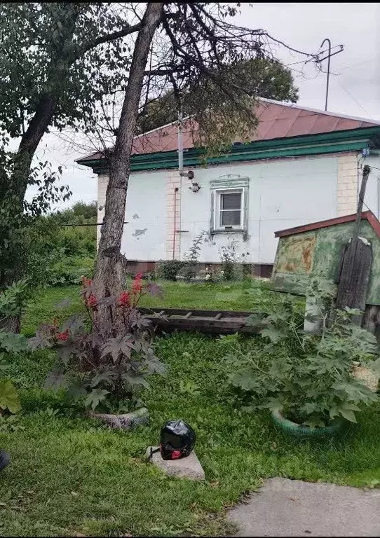 Дом в Новосибирская область, Искитимский район, Евсинский сельсовет, ... - Фото 1