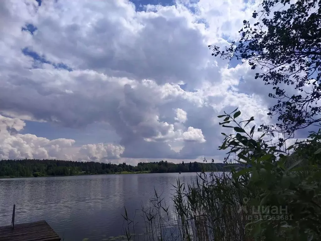 Участок в Ленинградская область, Выборгский район, Каменногорское ... - Фото 0