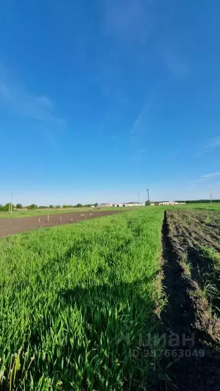 Участок в Курская область, Курский район, Рышковский сельсовет, д. ... - Фото 0