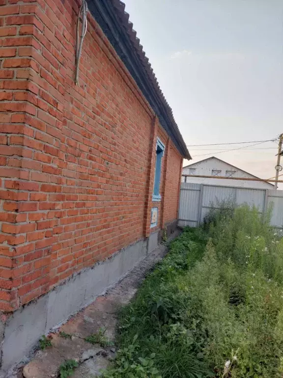 Дом в Белгородская область, Яковлевский муниципальный округ, с. ... - Фото 0