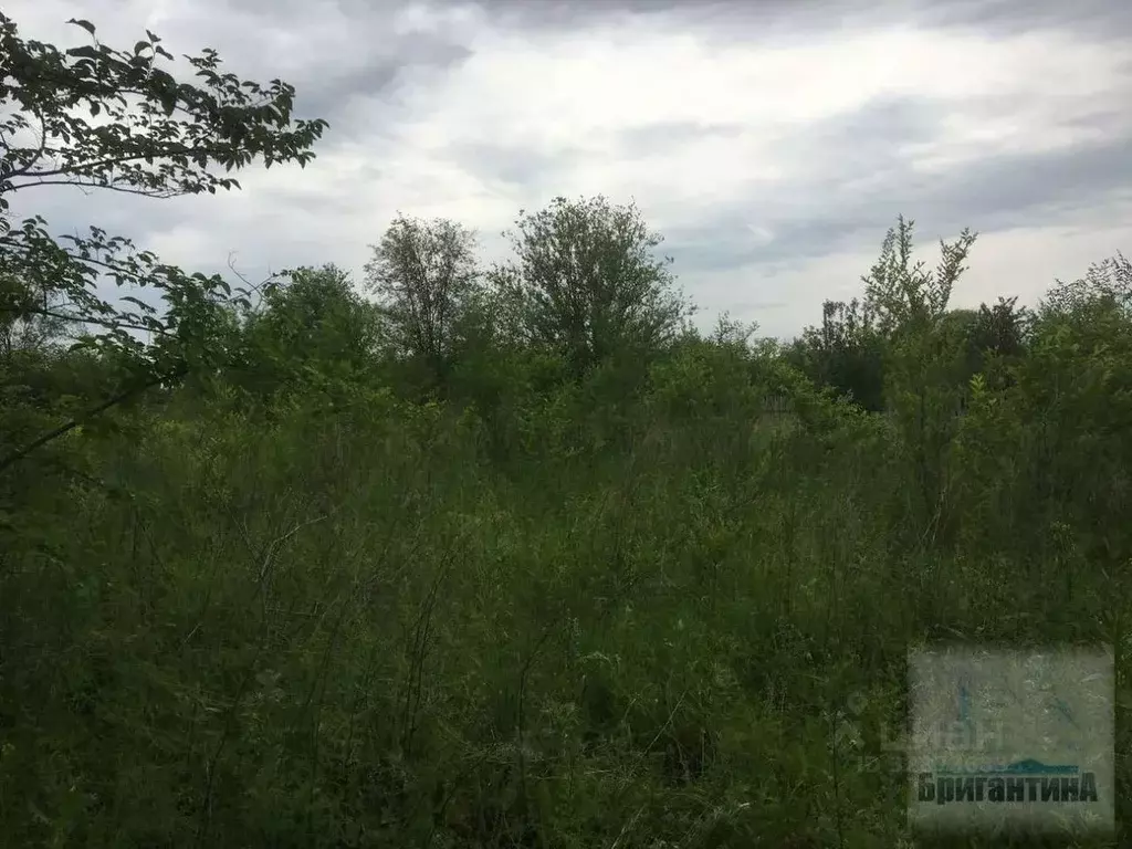 Участок в Самарская область, Красный Яр с/пос, Приозерье СДТ 5-я линия ... - Фото 2