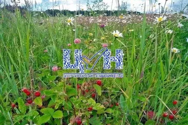 Участок в Курская область, Курский район, Нижнемедведицкий сельсовет, ... - Фото 2