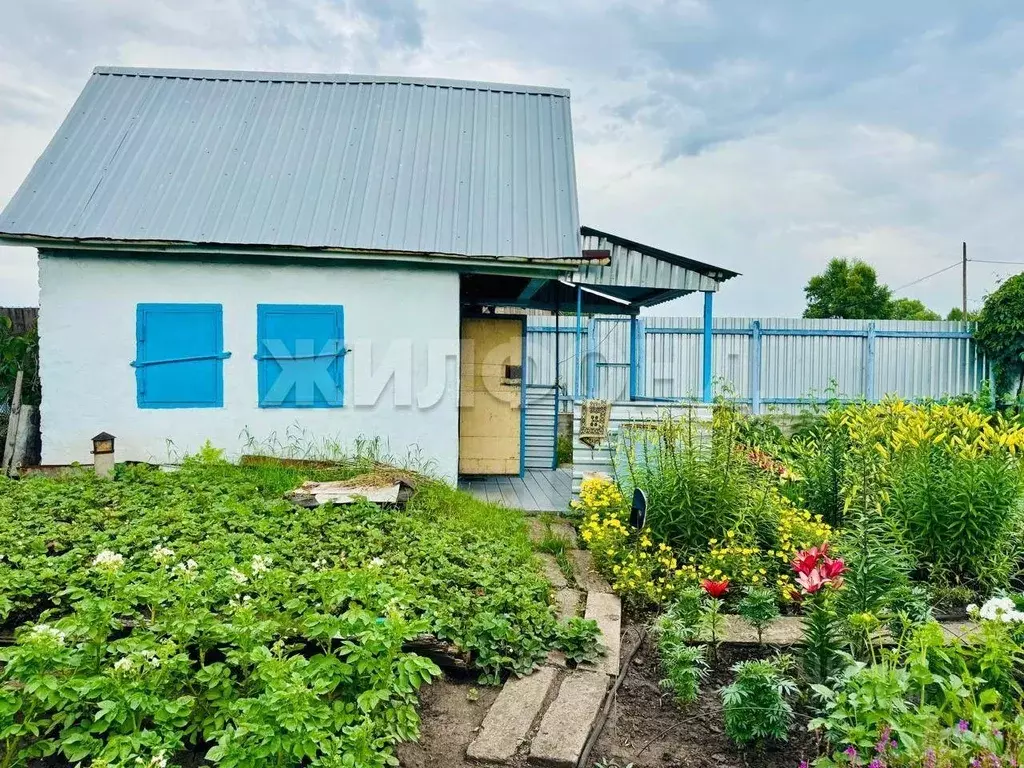 Участок в Кемеровская область, Кемеровский район, Флора СДТ  (3.7 ... - Фото 0