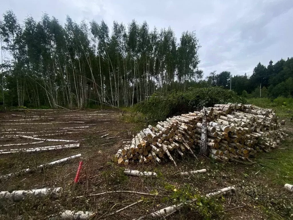 Участок в Московская область, Солнечногорск городской округ, д. ... - Фото 1