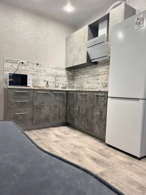 1-к кв. Амурская область, Благовещенск Октябрьская ул., 197 (40.0 м) - Фото 2