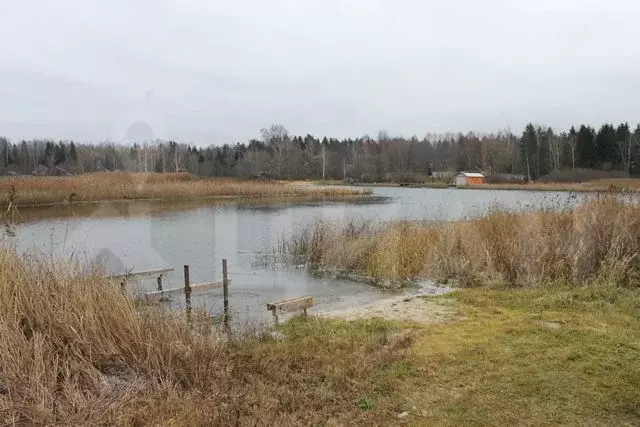 Купить Участок В Зверево Новая Москва